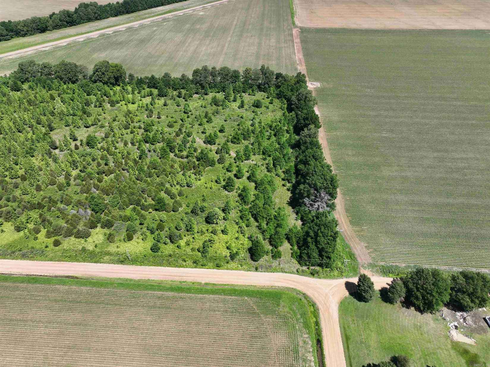 TBD County Road 951 Loop  