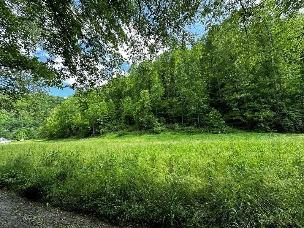 000 Polly Marcum Br Rd  