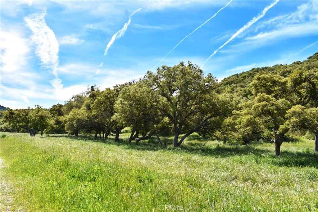 1642 Lockwood San Ardo  