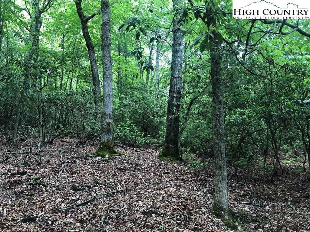 00 Chinquapin Rdg Rd  