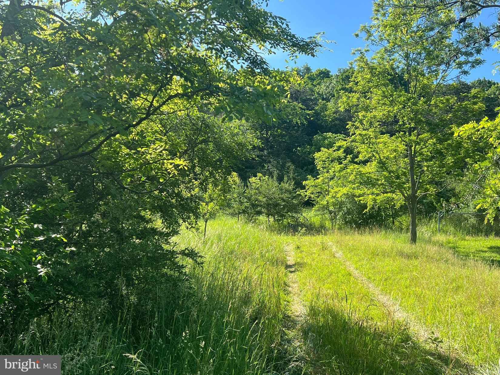 Lot 4 BURDOCK Ln  