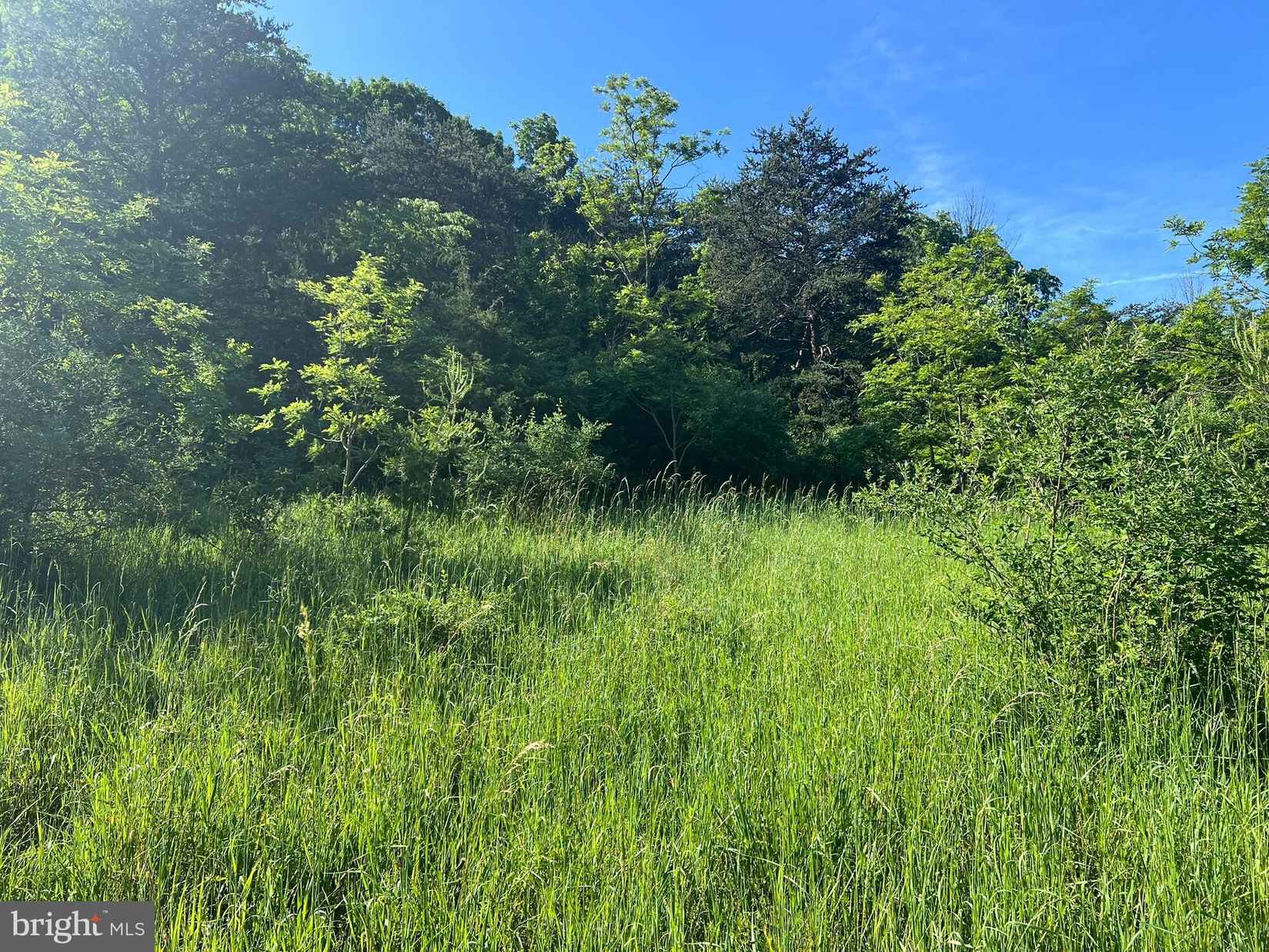 Lot 5 BURDOCK Ln  