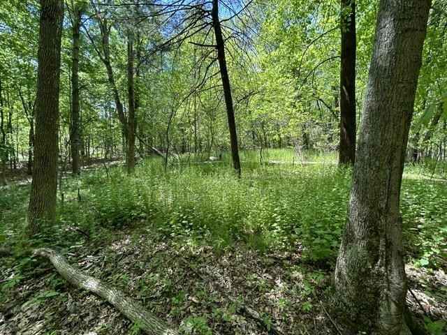 Lot 23 South Badger Ln  