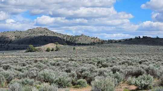 TL-600 Off Pettus Lk Rd  