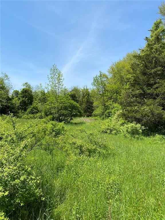 102 Plain Woods Rd  
