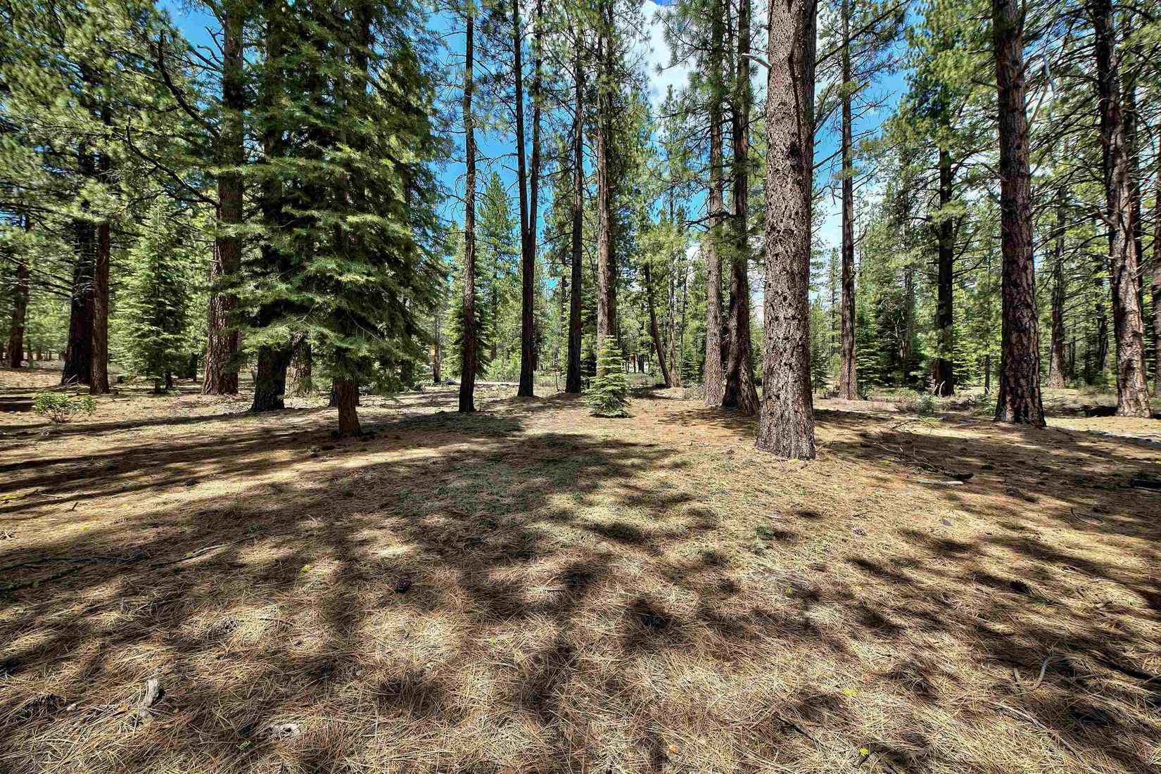 12510 Granite Dr  