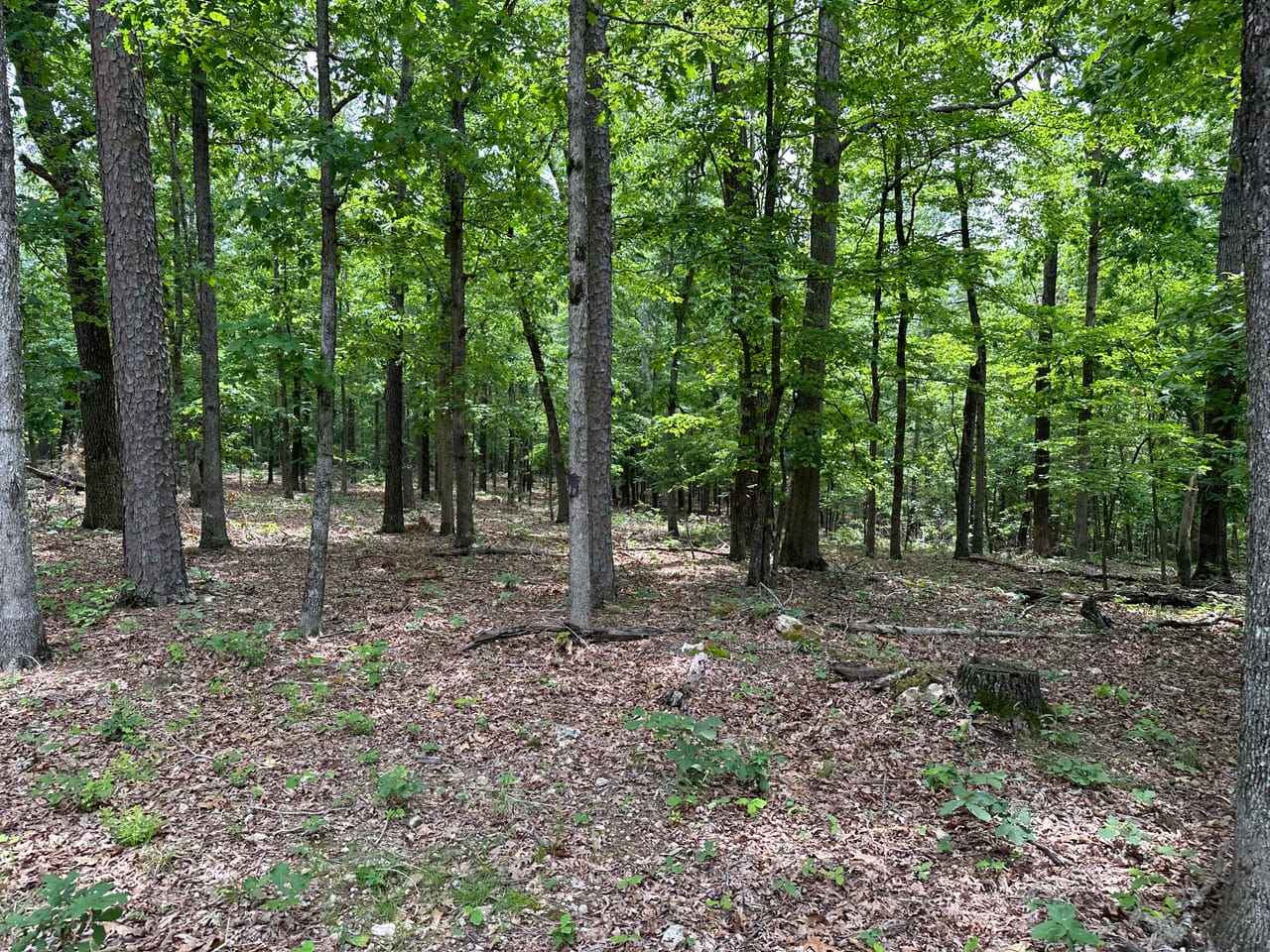 000 County Road 223 Lot 2  