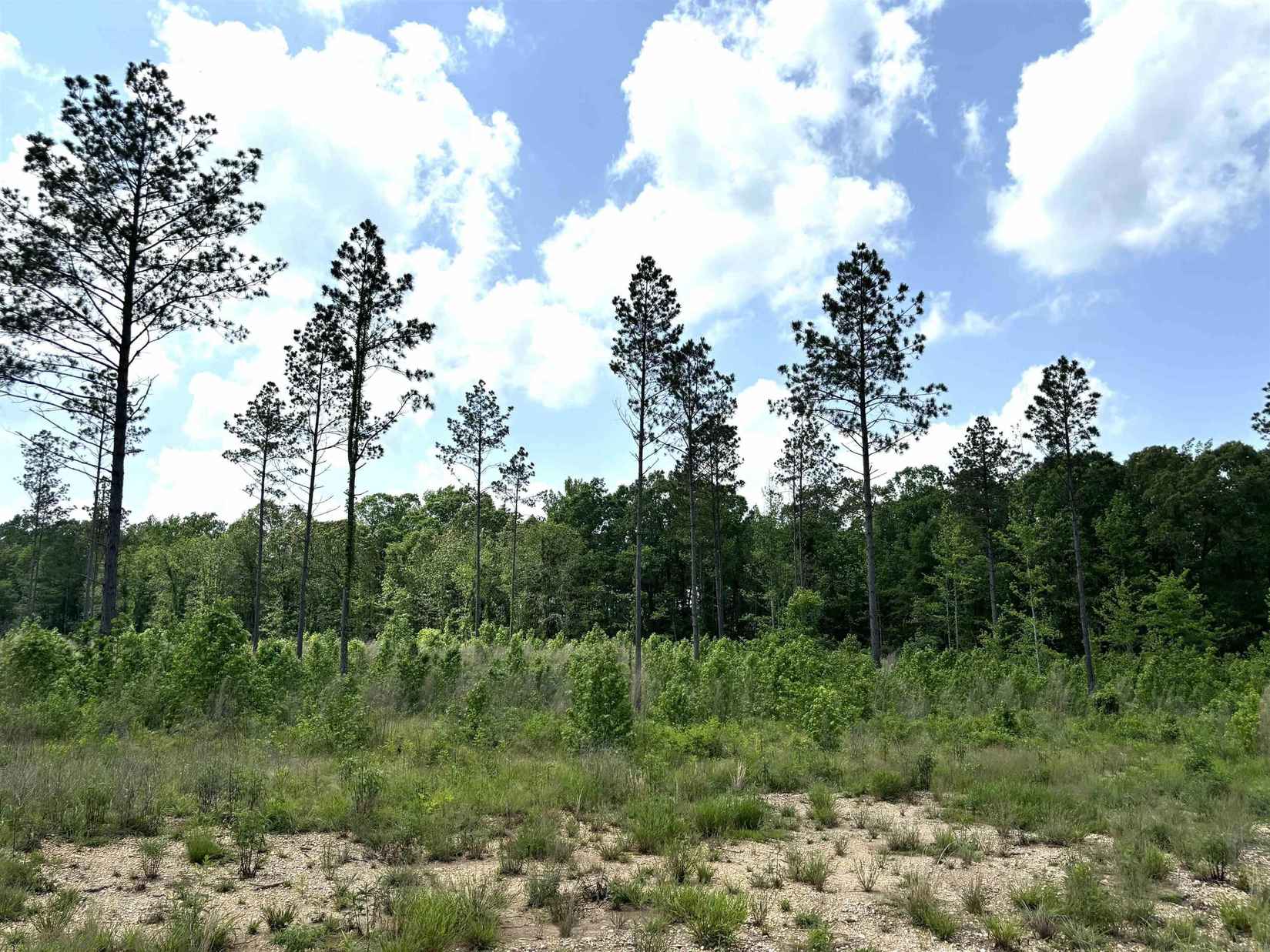 lot 24 Grant County Rd 763  