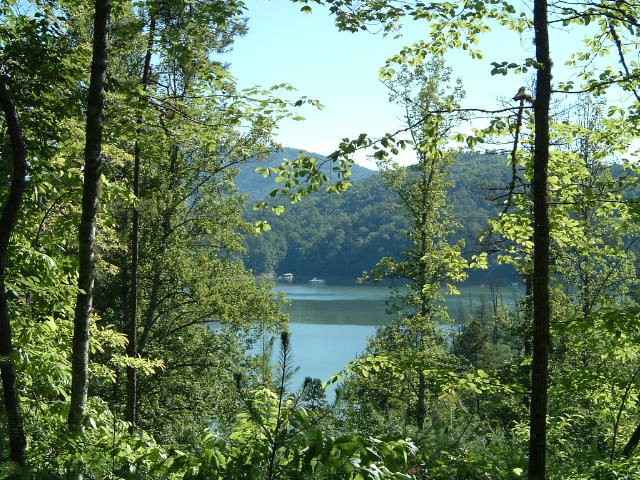 Lot 15-3 Lakeside Pt  