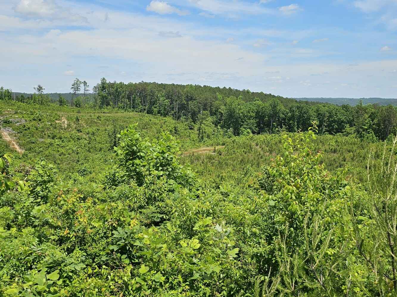 000 County Rd 63  