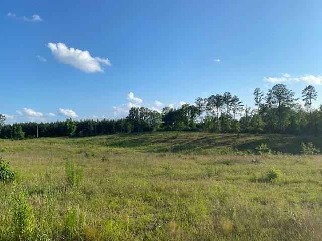 0 Miller Rd Bethal Church Rd  