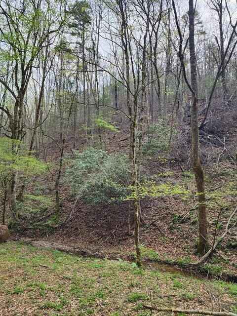 Lot 19 Hidden Hollow Way  