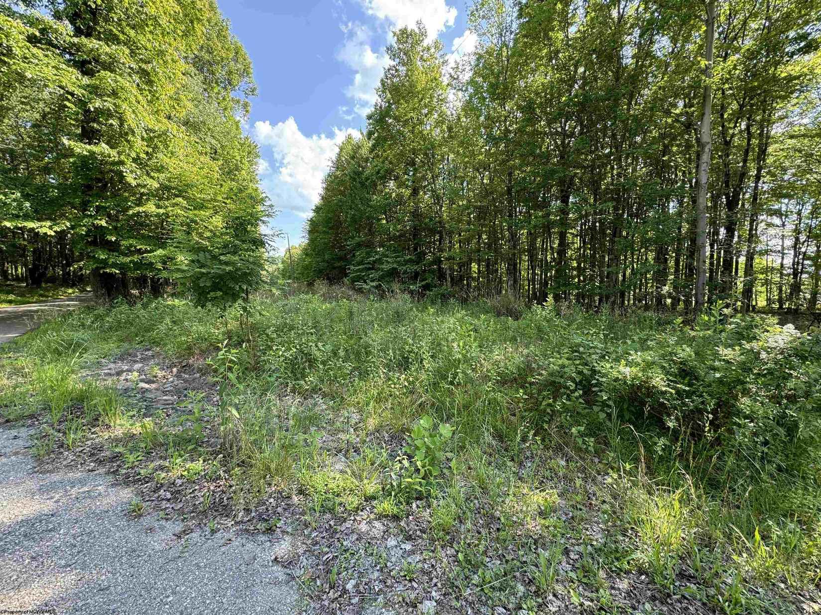 Parcel 5 N Bunner Rdg Rd  