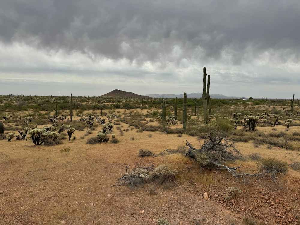 TBD W Restin Rd Lot#WP001  