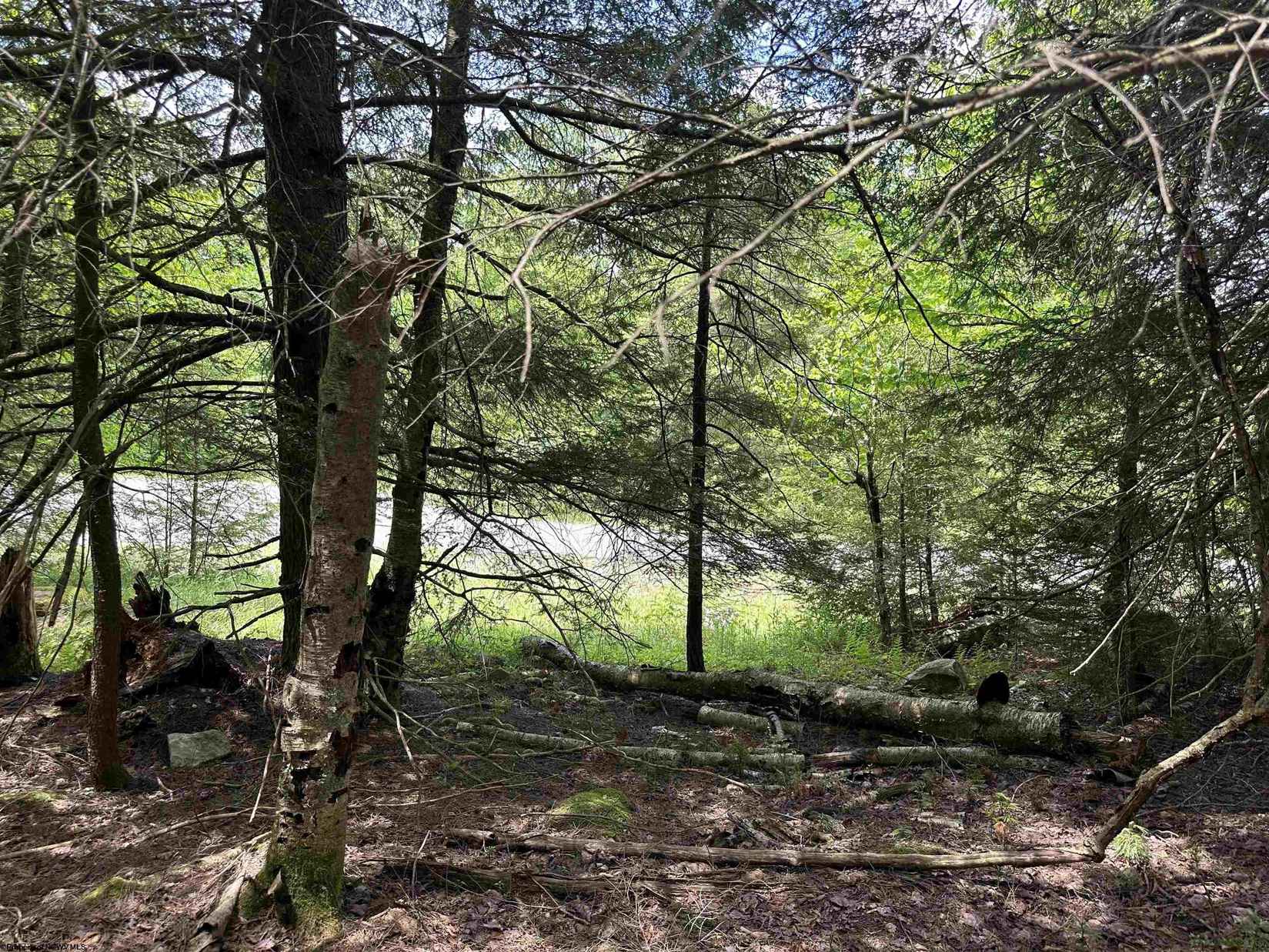 Lot 96 Gondola Ct  