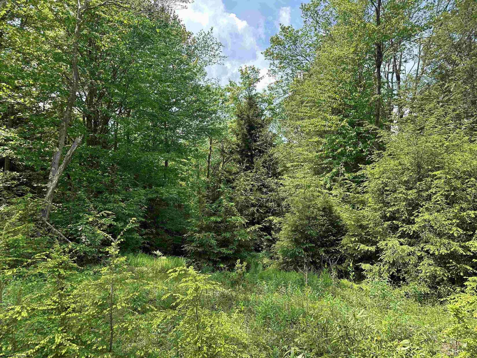 Lot 98 Canal St  