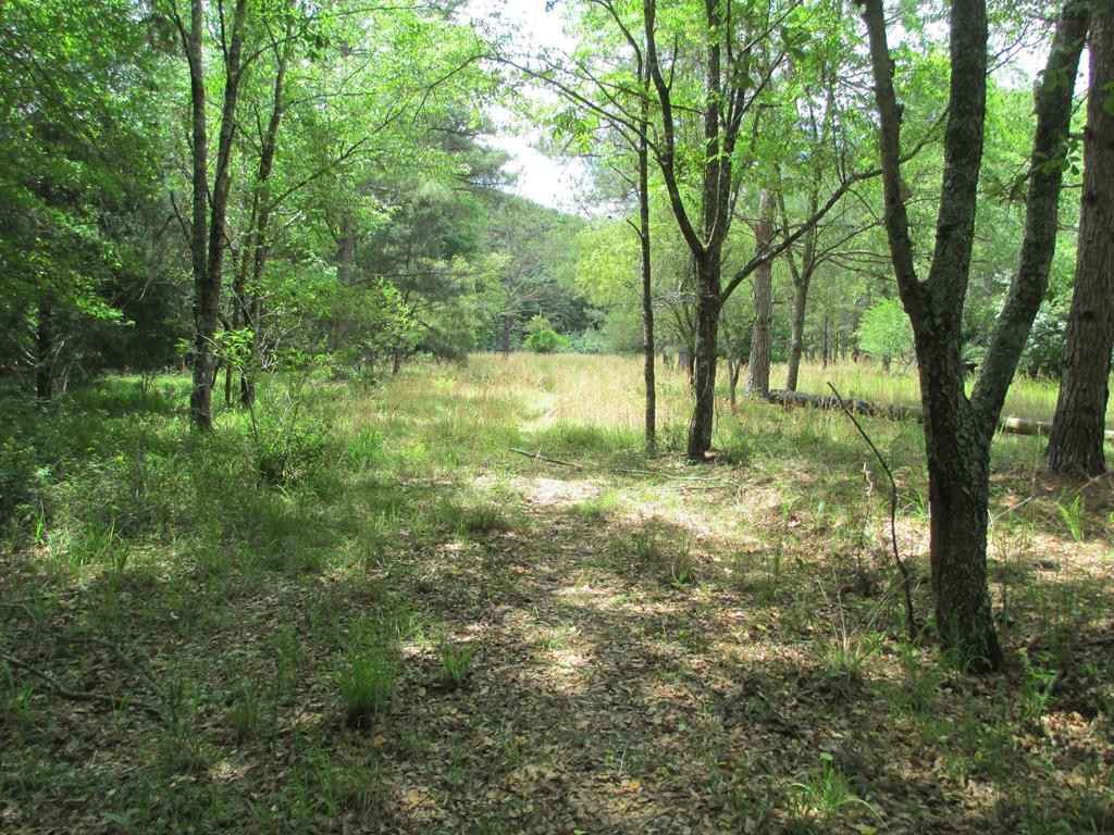 559 U S Hwy 19 North  