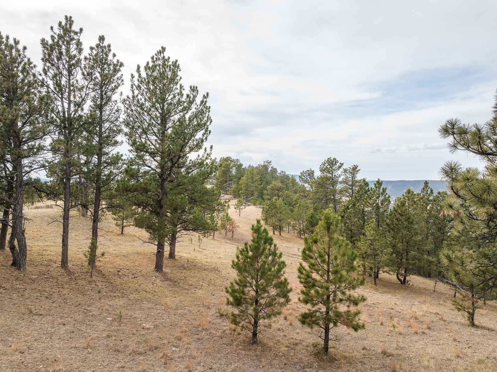 TBD Lot 6 Joy Dr  