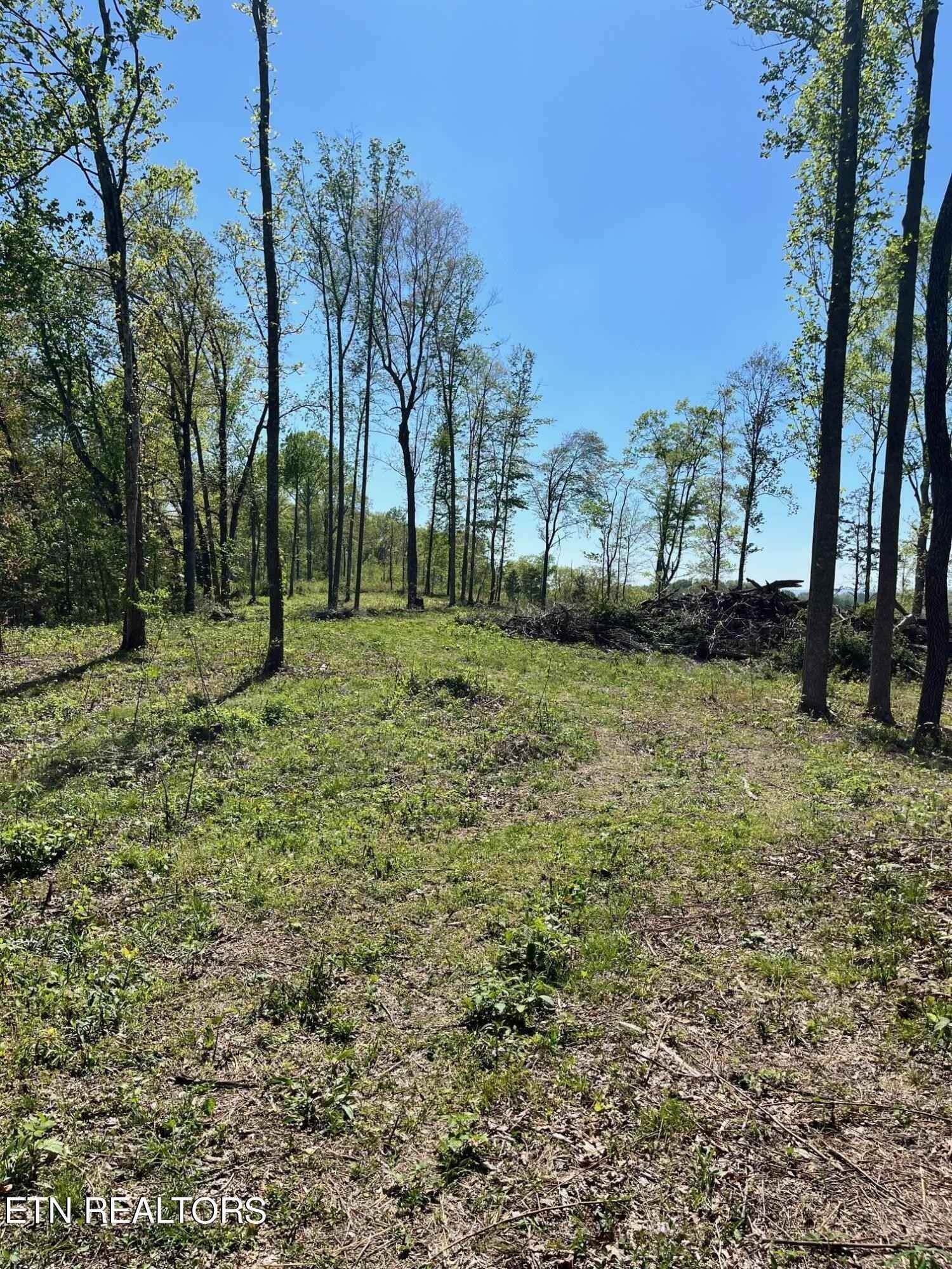 Tract 1 Mill Crk Rd  