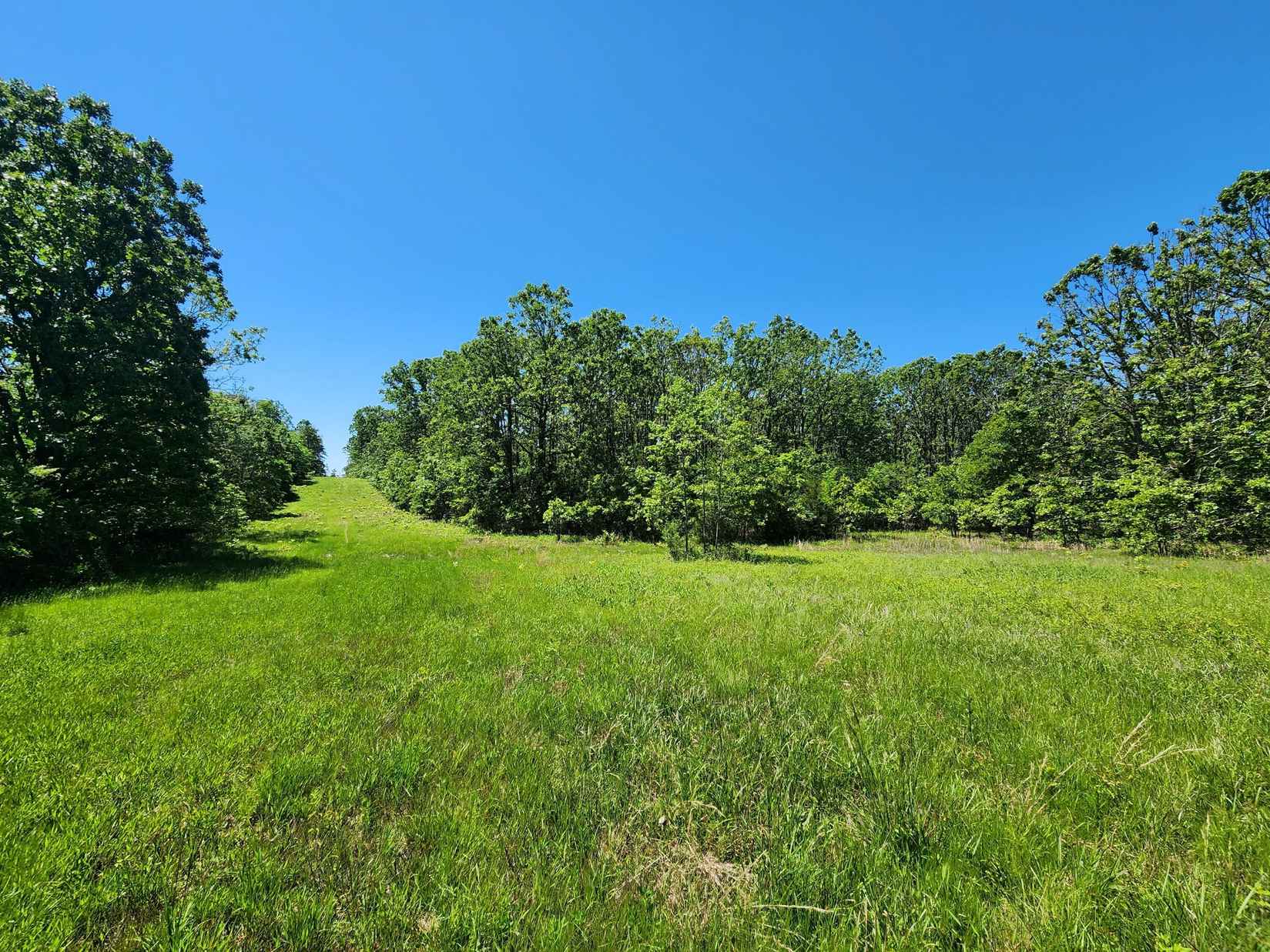 000 County Rd 3330  