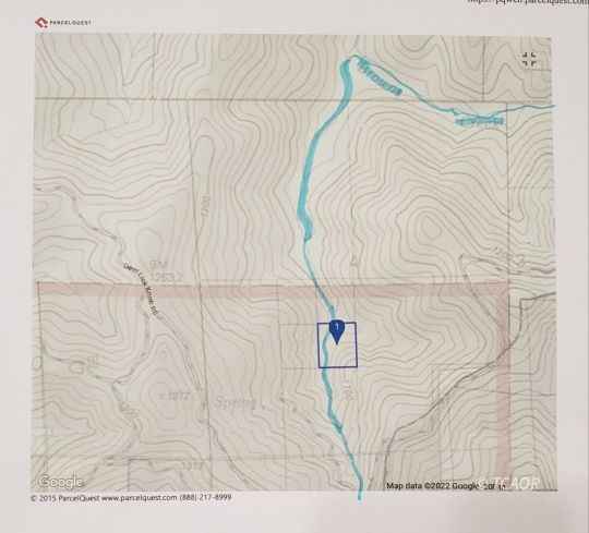 NSN off USFS Rd 31N02  