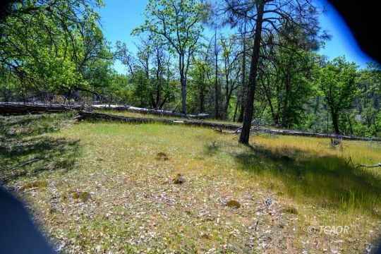 230 Shasta Spgs Rd  