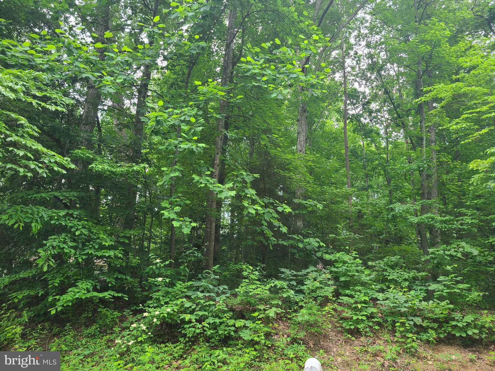 279 LAKE CAROLINE Dr  