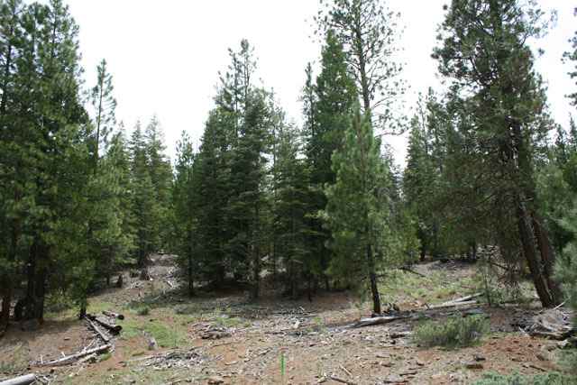 Lot 9 Apache Rd  