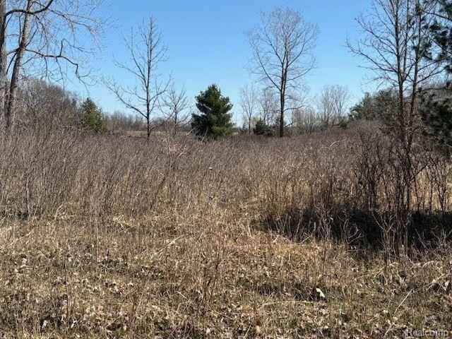 00 Farmbrook Ln  