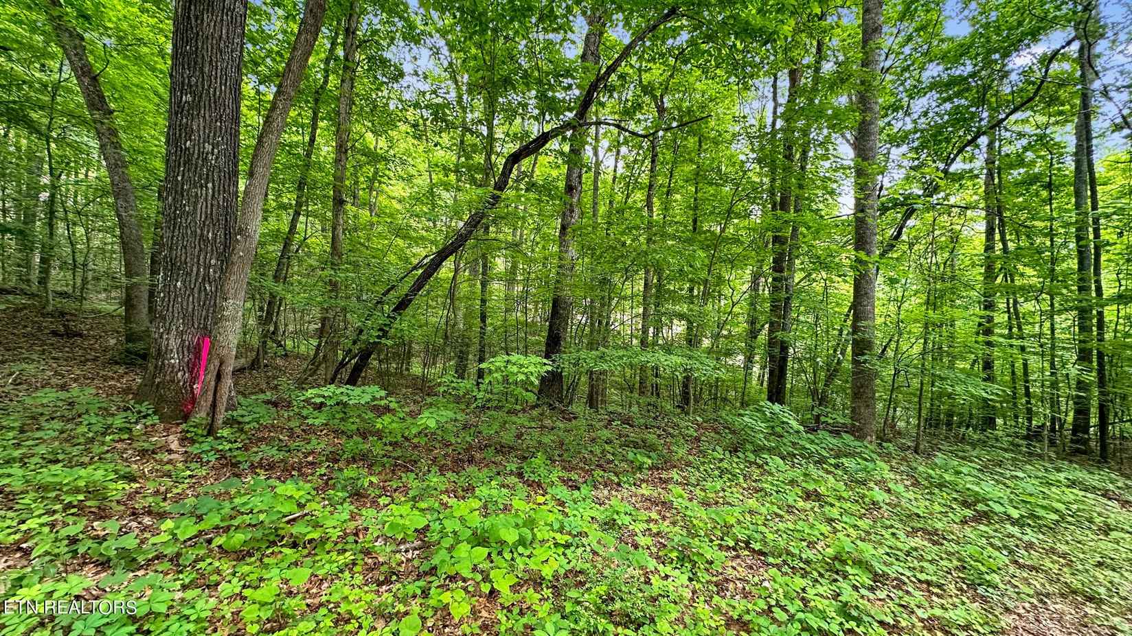 Lot 1 Graves Holw Rd  