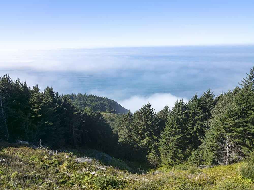 Tl100 Eighty Acres Rd  