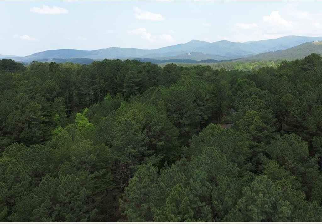 Lt 35 Highland Woods  