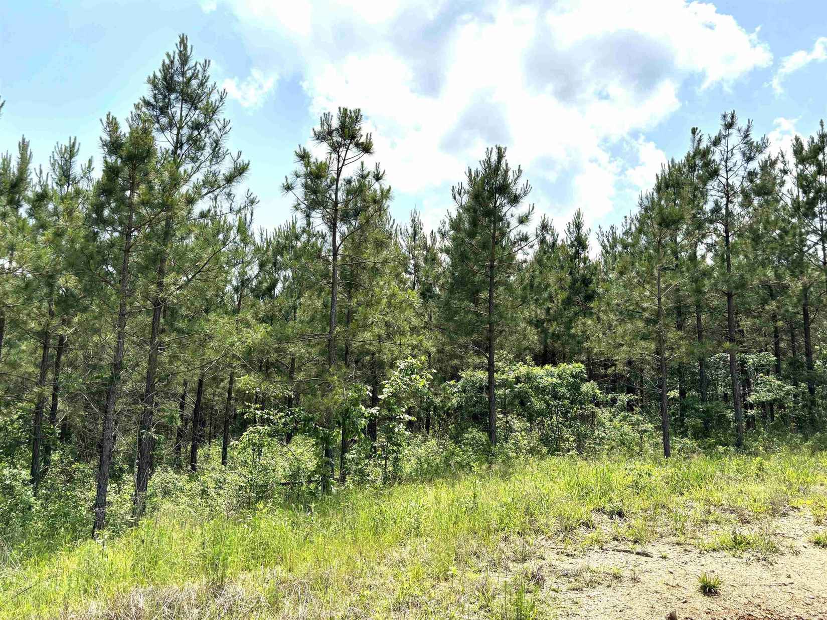 lot 27 Grant County Rd 763  
