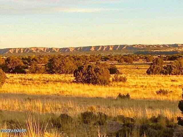 TBD Sanders 510 Acres  