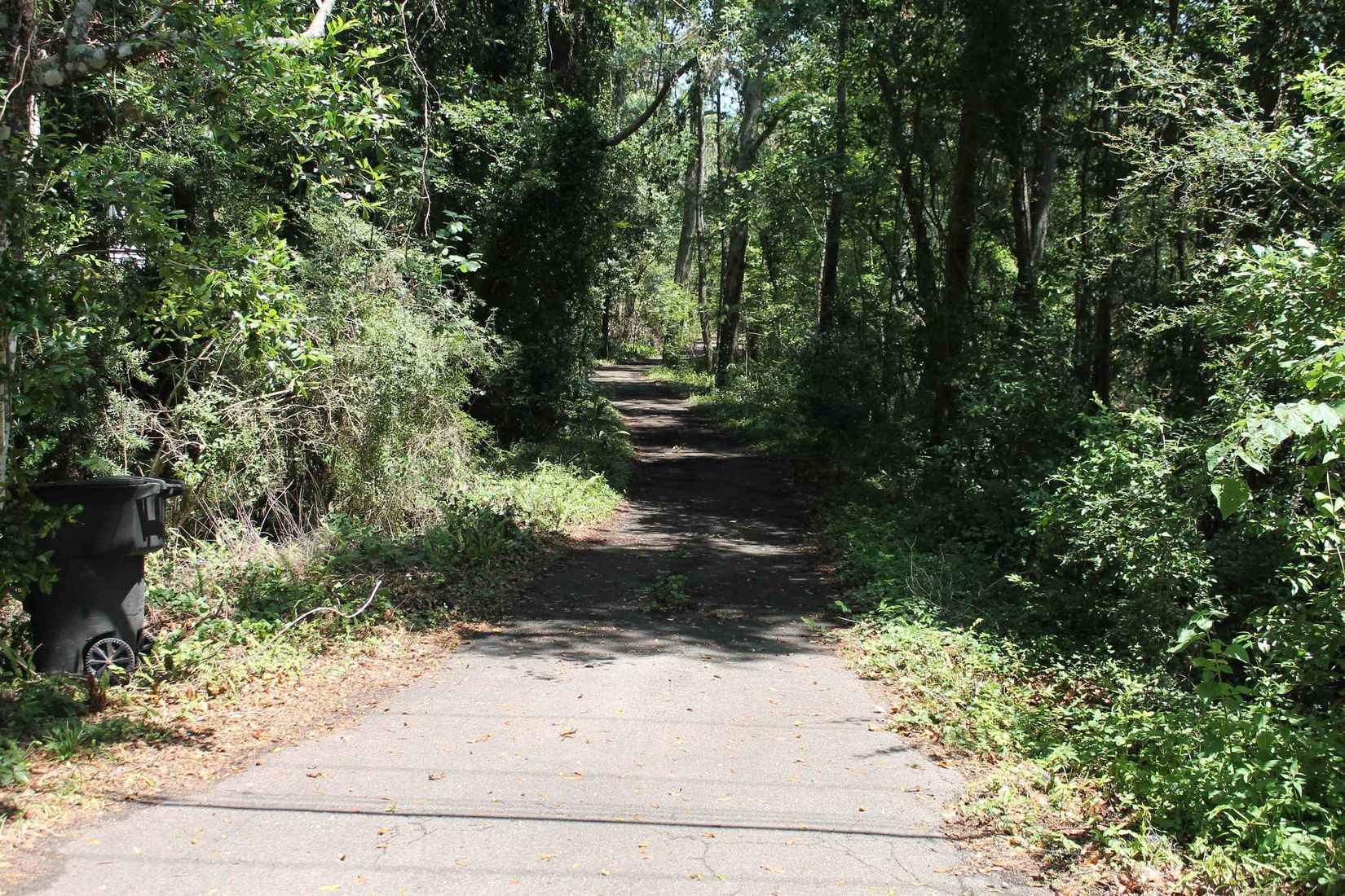 1510 Chocksacka Nene  