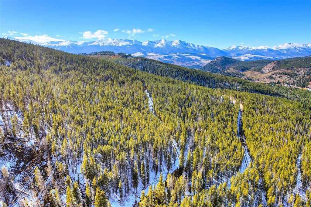 653 SUMMIT GULCH Rd  
