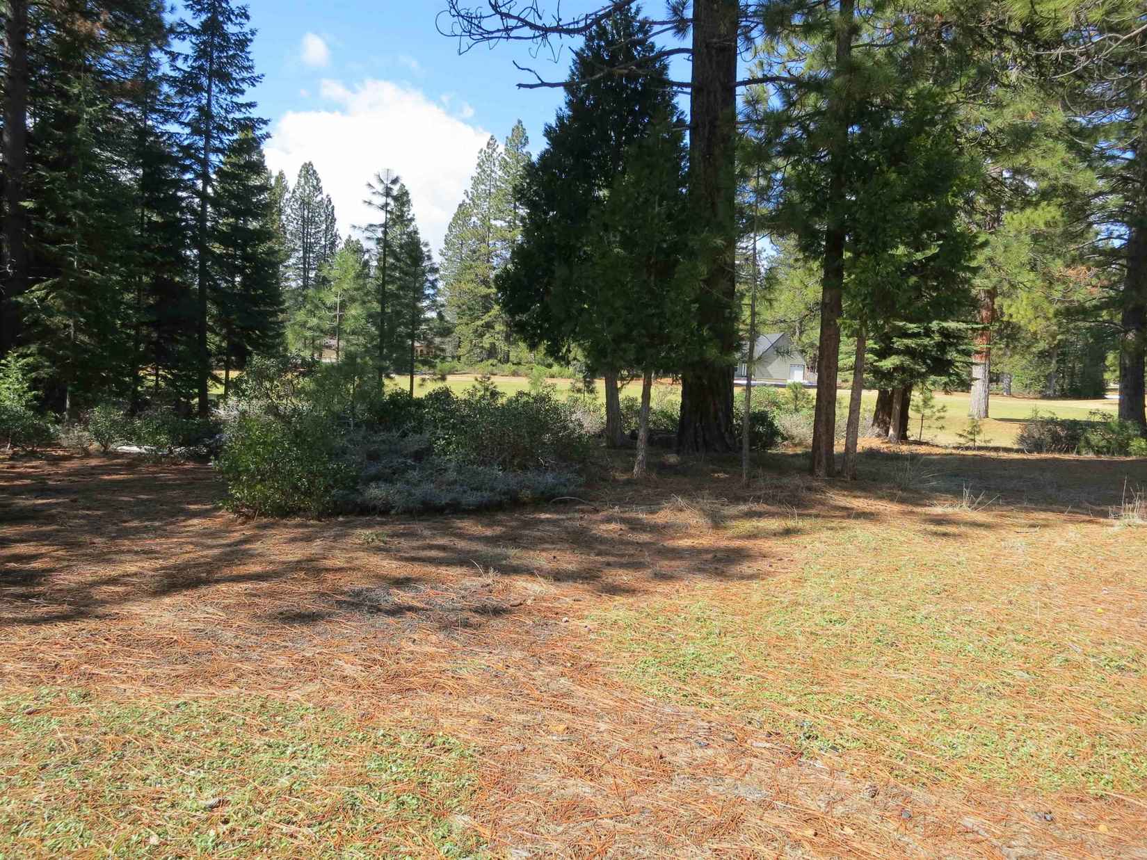 533 Dinsmore Dr  
