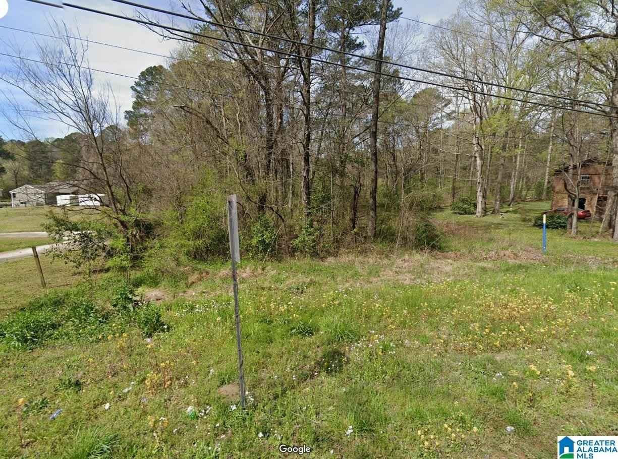2412 FOREST Bnd Rd  