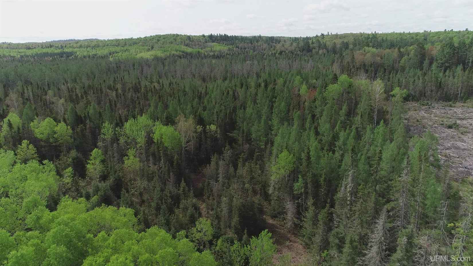 280 Acres County Rd CCN  