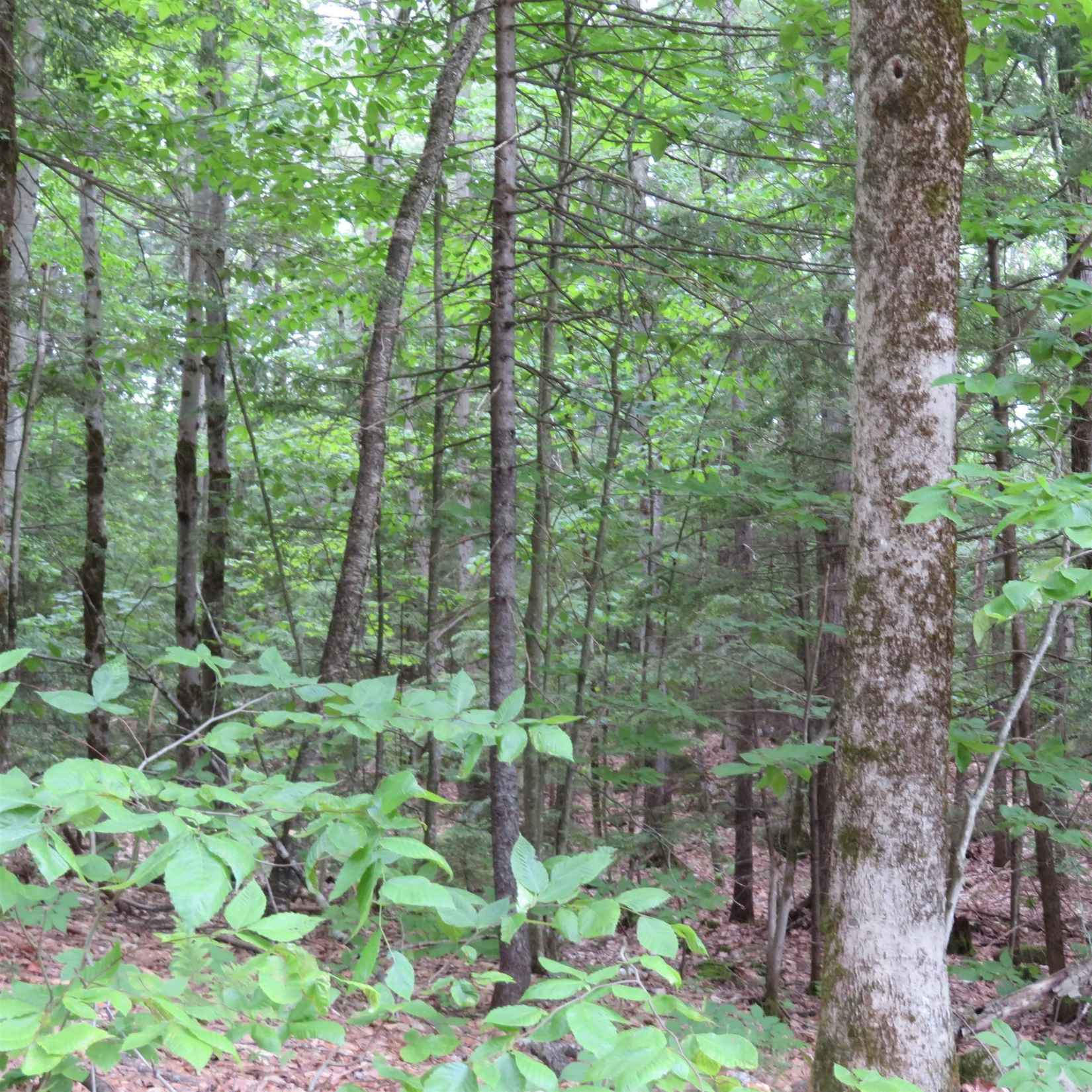 Lot 67 Sandwich Slopes Rd  