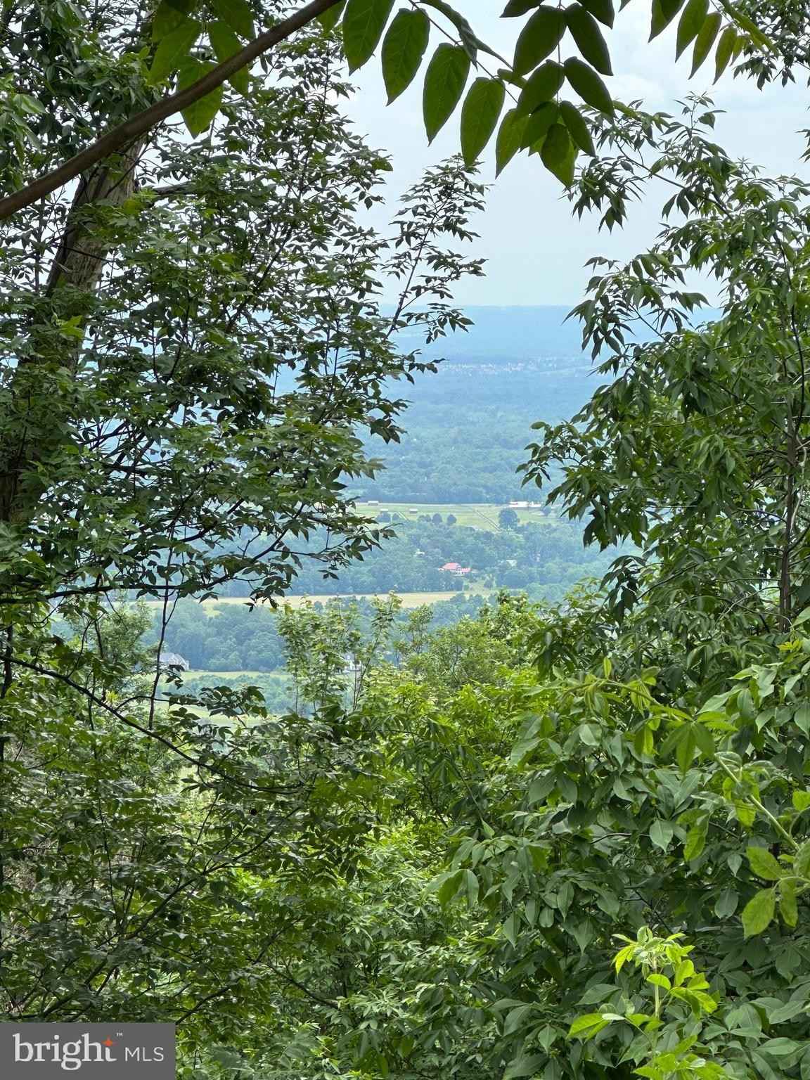 2613 2617 LOOKOUT Rd  