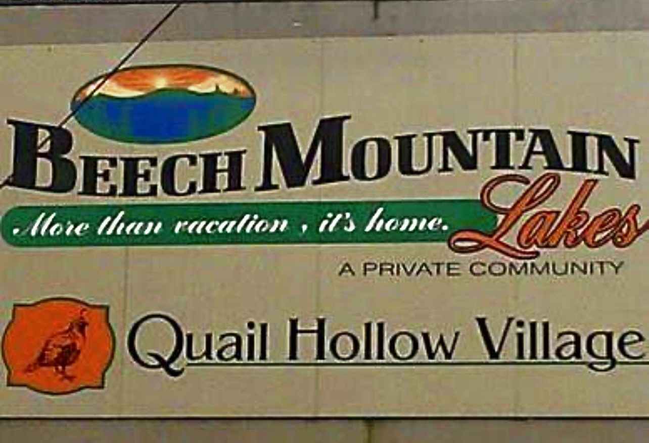 300 (Lot 28) Bear Run Dr  