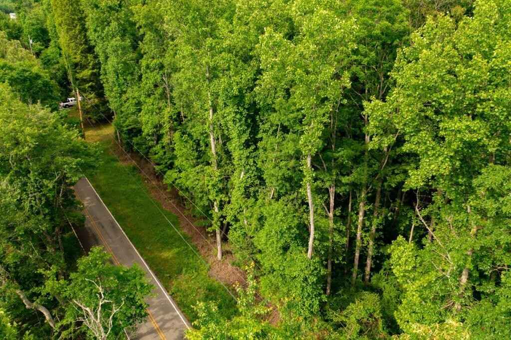 17 8 ac Van Winkle Rd  