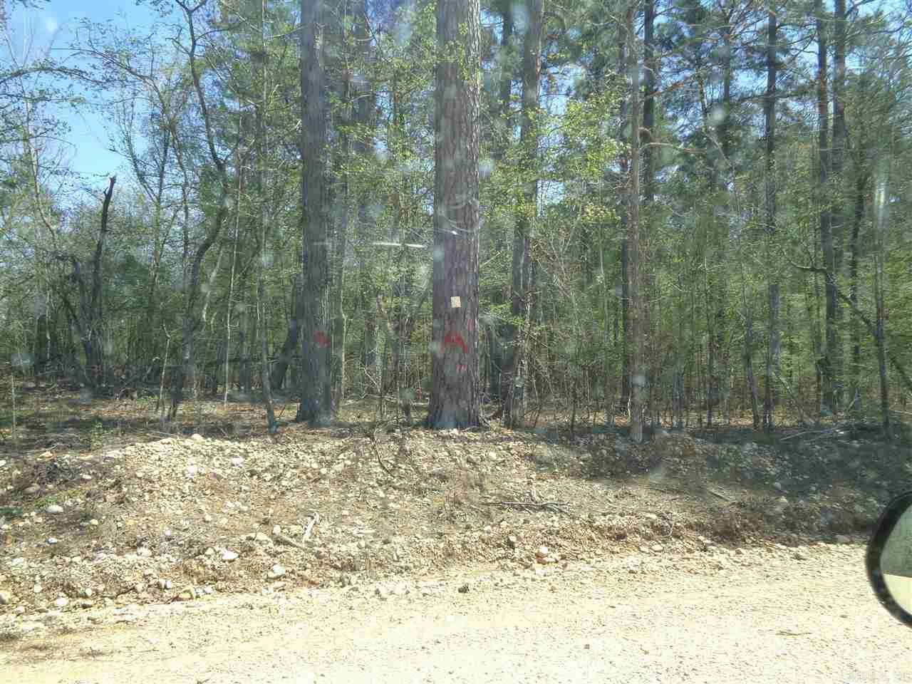 25 86 ACRES NEAR NELSON Rd  