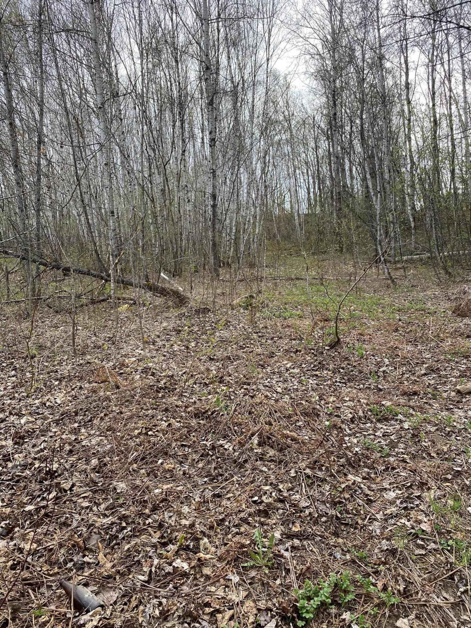 Lot 123a Harvey St  