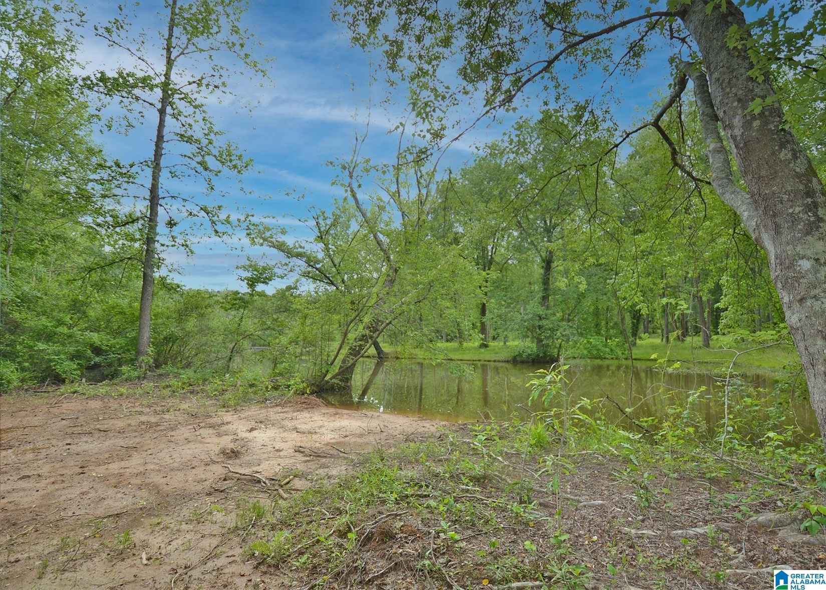 Lot 8 COUNTY Rd 244  