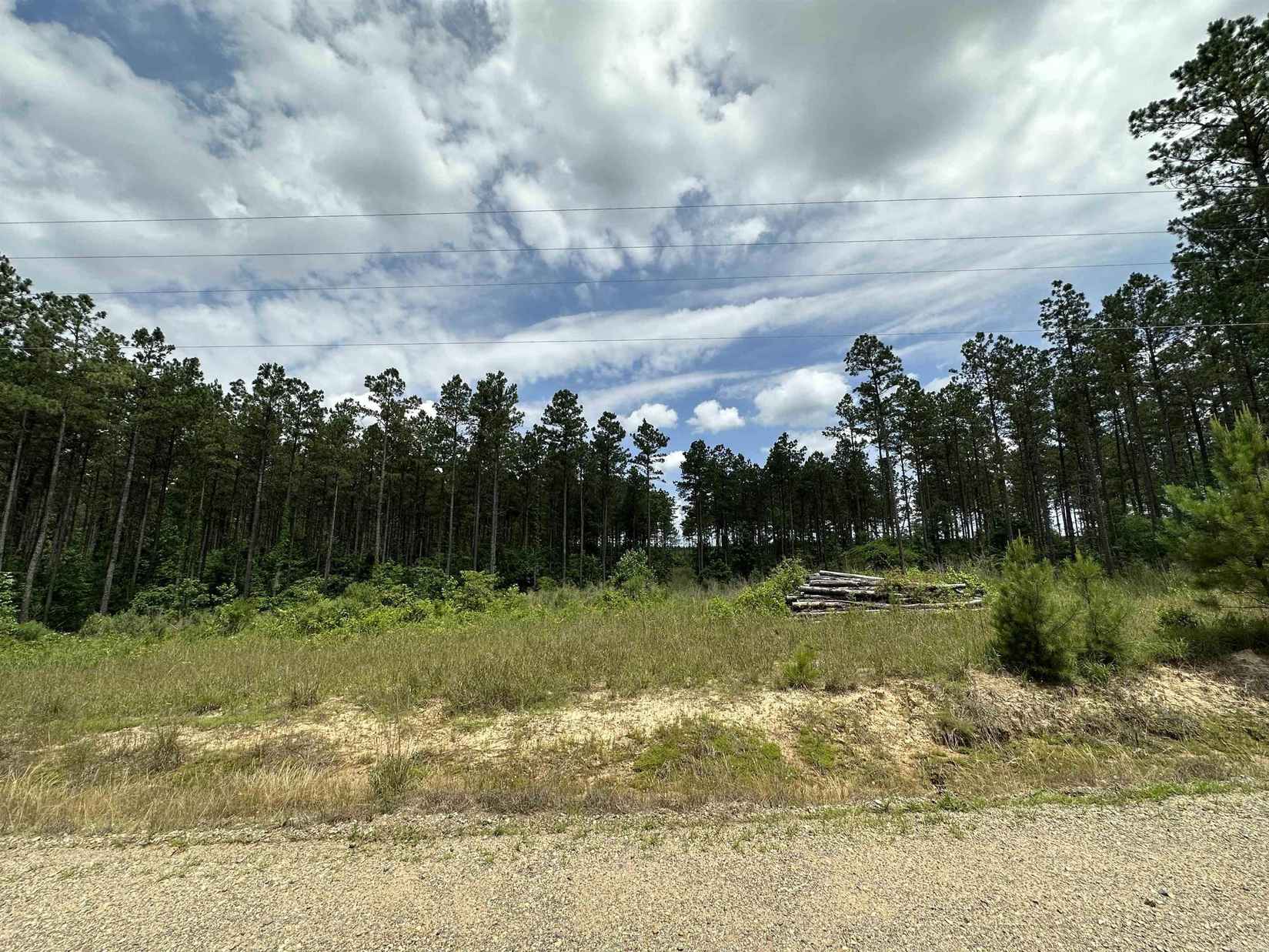 00 Princeton Pike Loop  