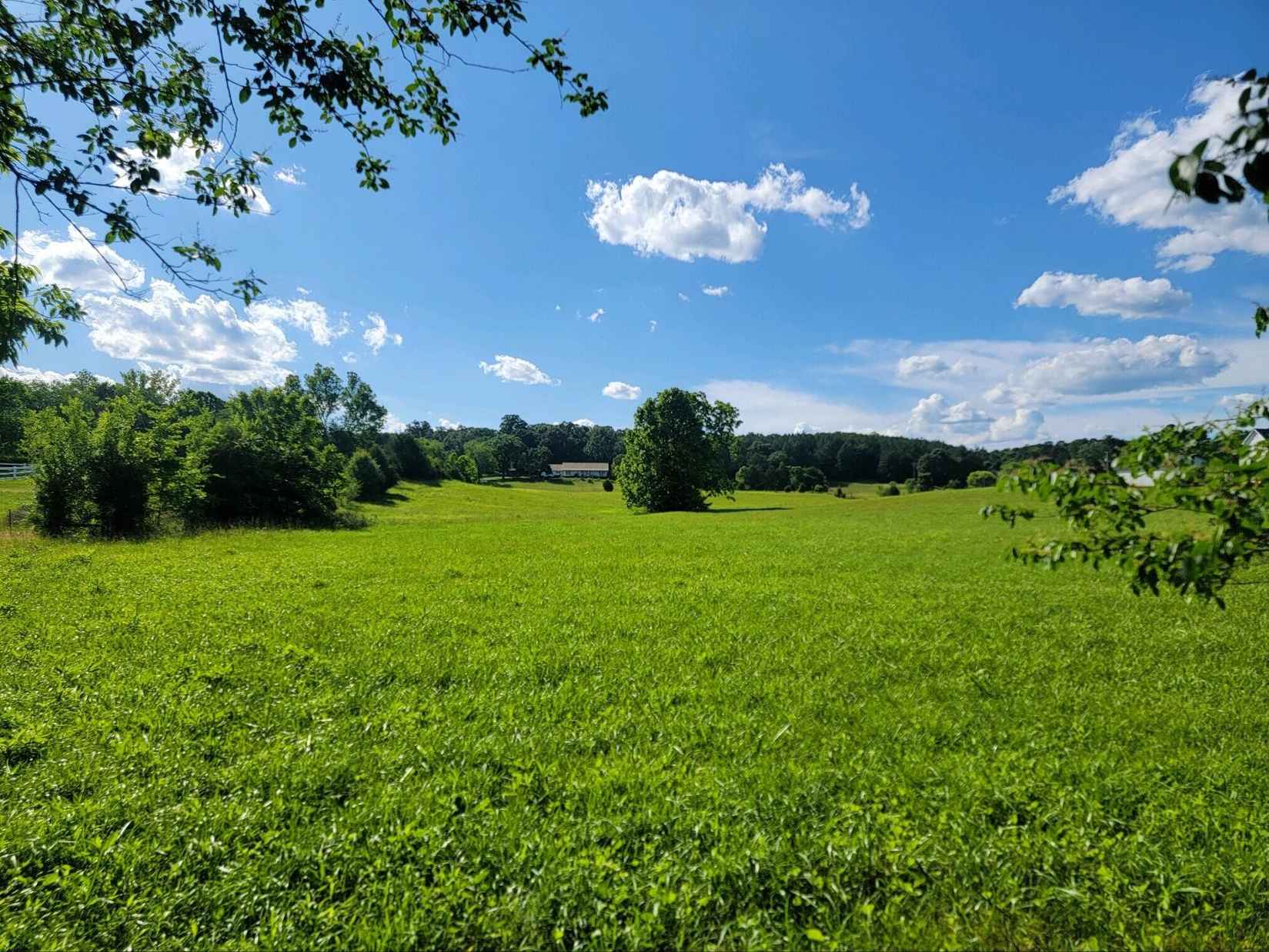 6 87 Acres Old Dixie Hwy  