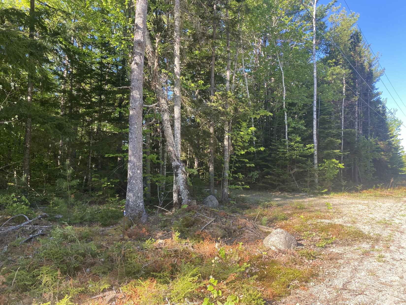 114 Sandy Acres Dr  