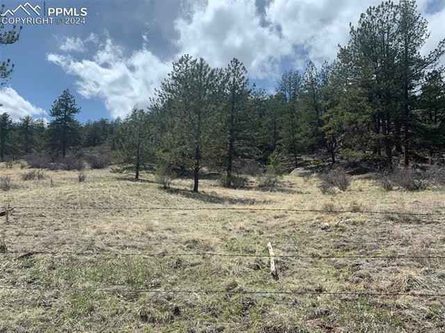 34754 Hwy 24  